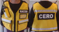 YellowRaces.jpg (173250 bytes)
